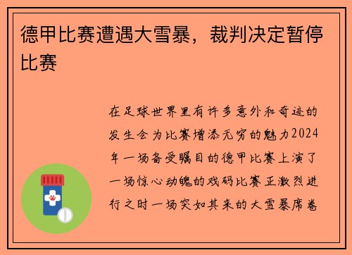 德甲比赛遭遇大雪暴,裁判决定暂停比赛